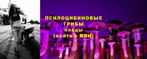 бошки Алексин