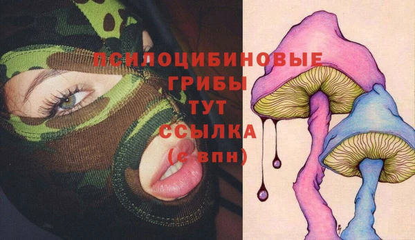 бошки Алексин