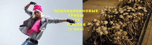дурь Алексеевка