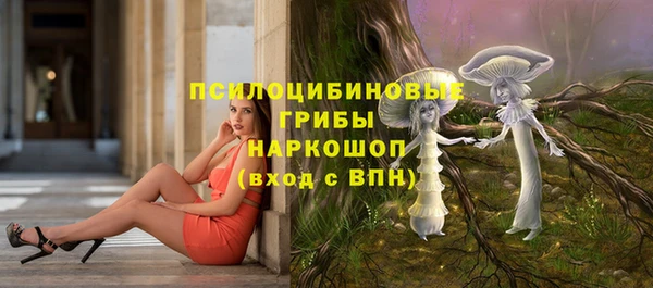 дурь Алексеевка
