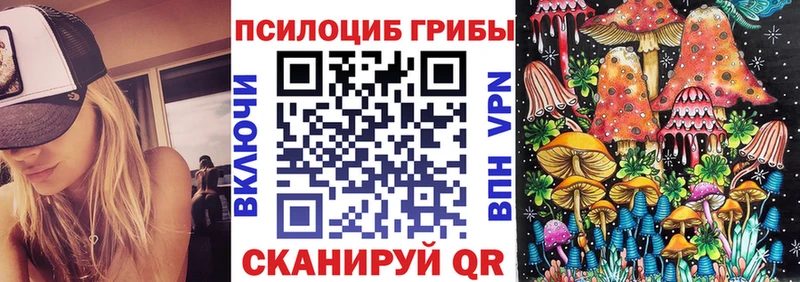 Псилоцибиновые грибы мицелий  Теберда 