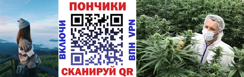 KRAKEN tor  Теберда  Марихуана сатива  дарк нет Telegram  где продают наркотики 